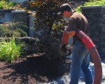 Bark Blowing Careful Professional